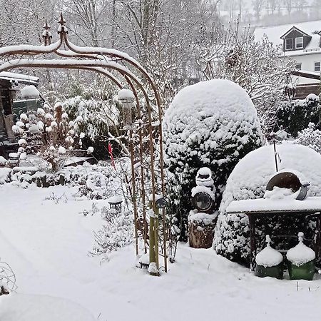 Ferienwohnung Sauerland Burgfenster لينهشتات المظهر الخارجي الصورة