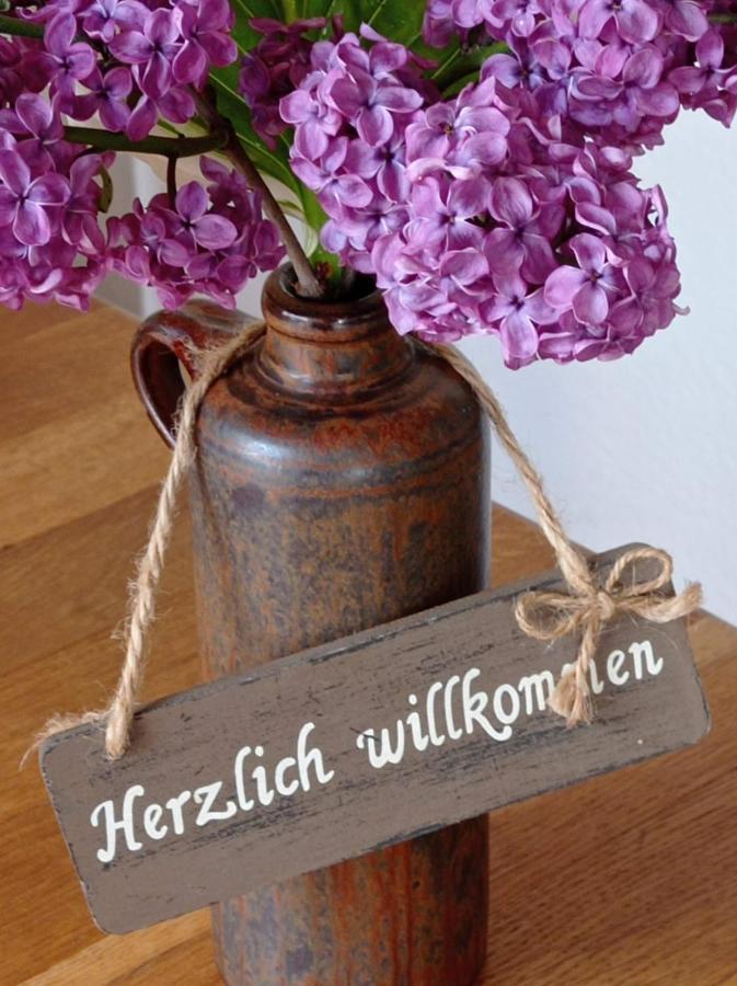 Ferienwohnung Sauerland Burgfenster لينهشتات المظهر الخارجي الصورة