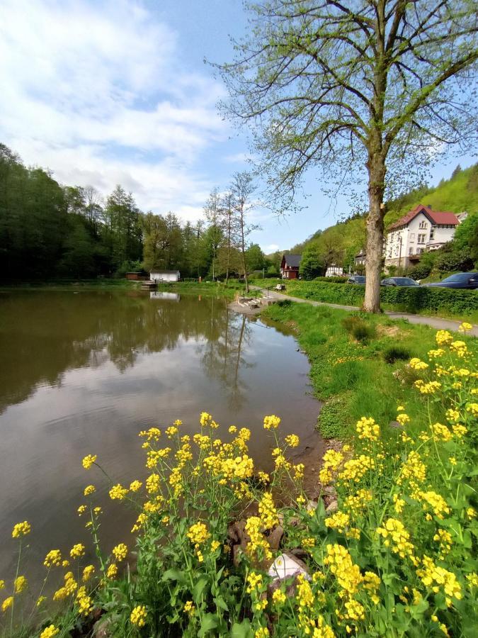 Ferienwohnung Sauerland Burgfenster لينهشتات المظهر الخارجي الصورة