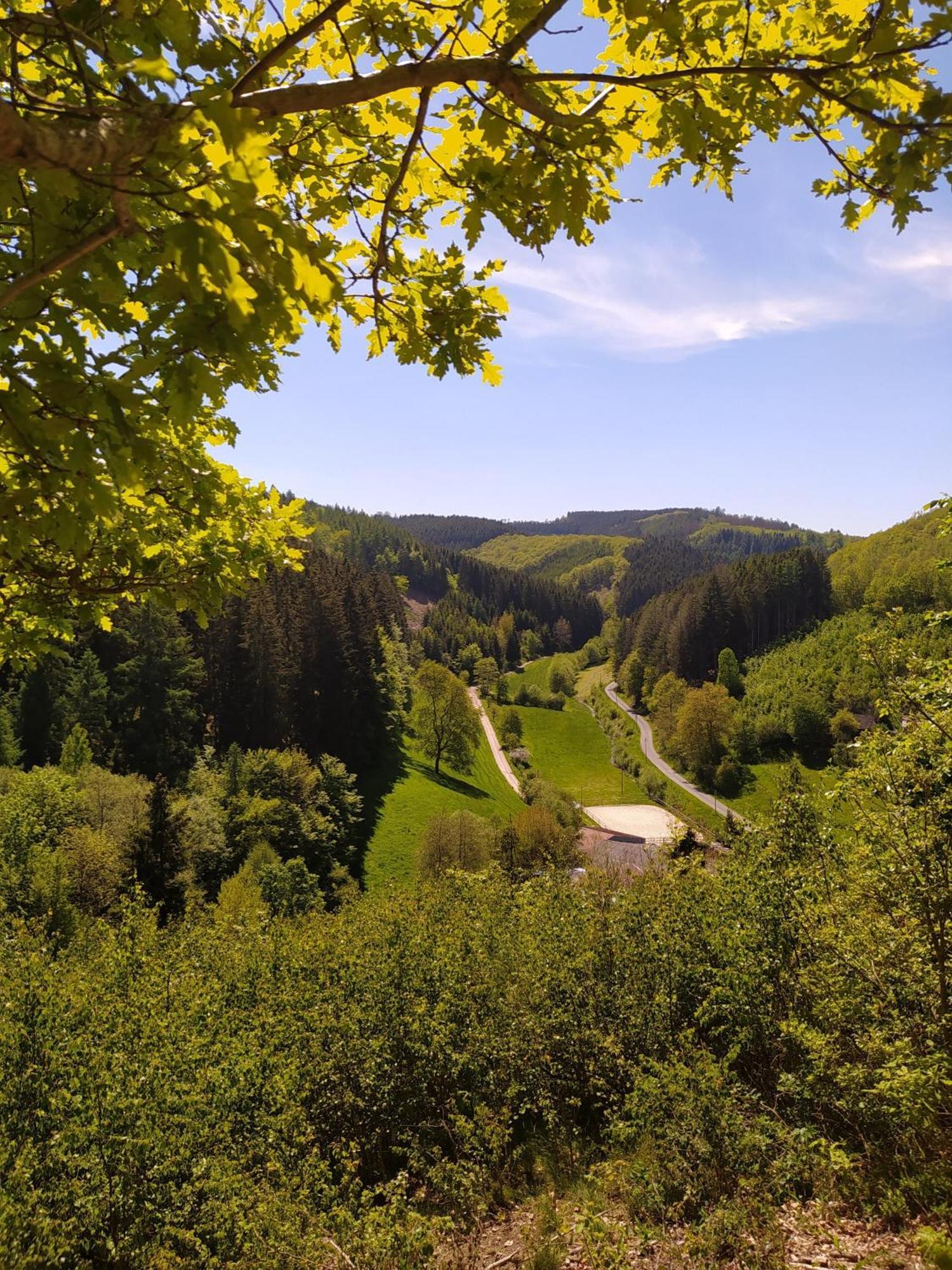 Ferienwohnung Sauerland Burgfenster لينهشتات المظهر الخارجي الصورة